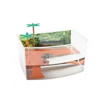 Geo Bazin pentru broaste testoase 27x19x15 cm