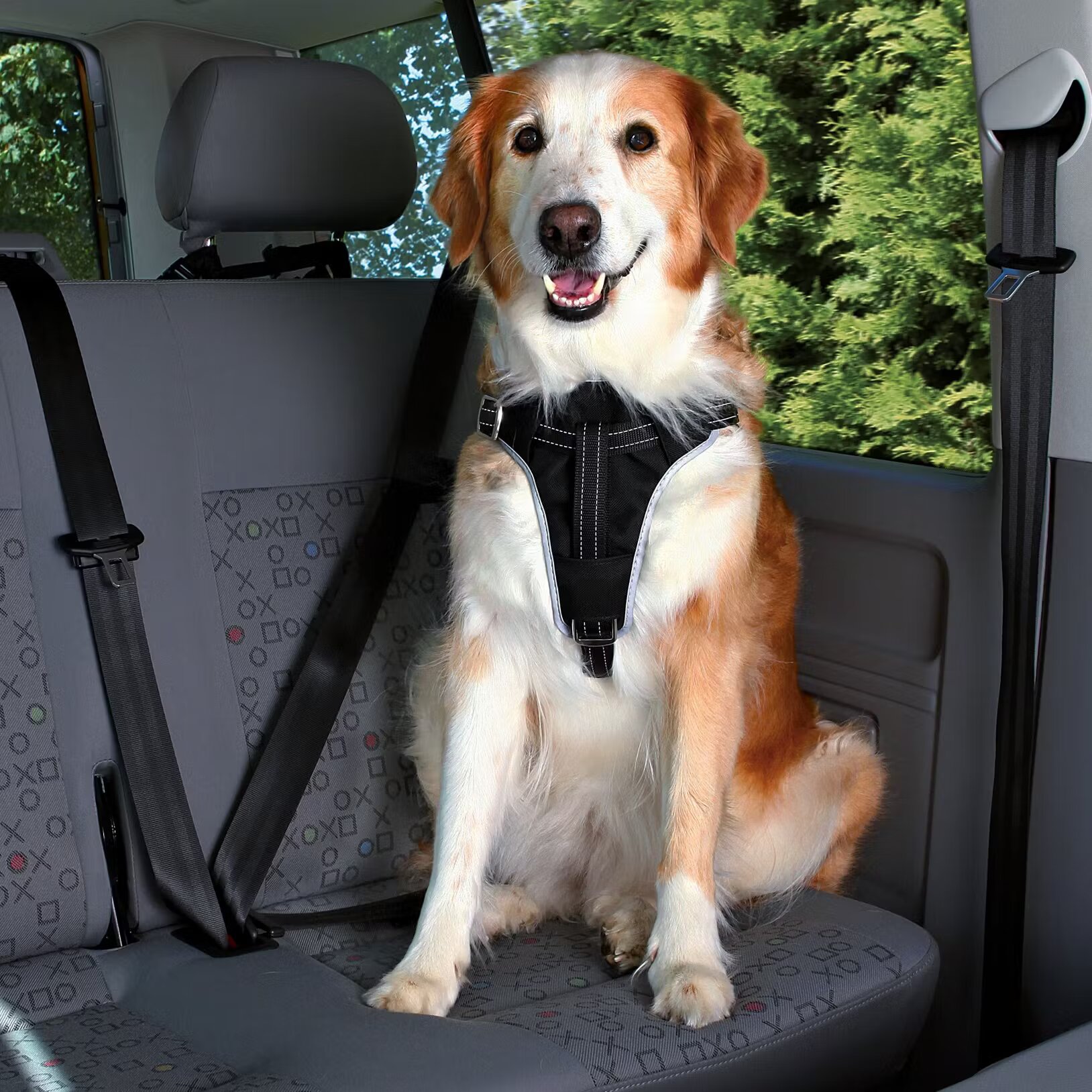 GlobalPet Ham si Centura Auto Caini M 50-65 cmcm/20 mm Negru 12856