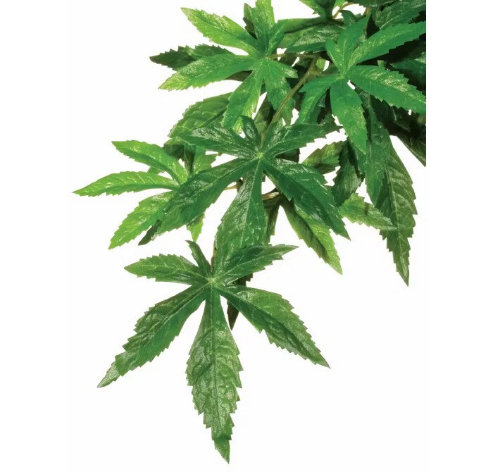 Hagen EXO TERRA PLANTA ABUTILON SMALL 40 cm