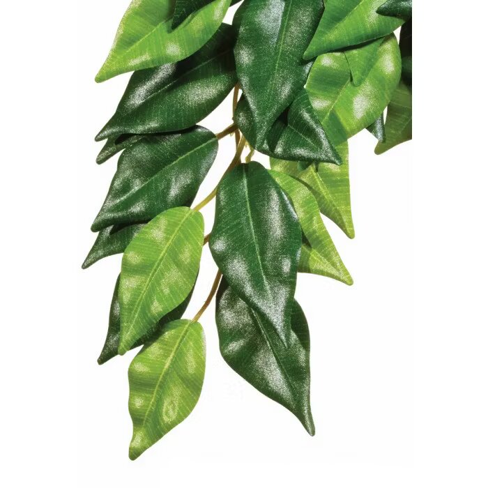 Hagen EXO TERRA PLANTA FICUS SMALL 45 cm