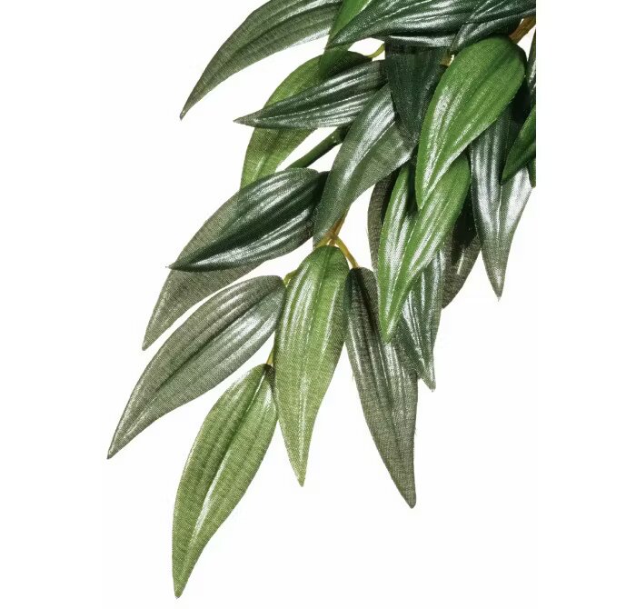 Hagen EXO TERRA PLANTA RUSCUS SMALL 35 CM PT3031