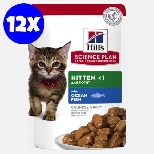 Hills Hrana umeda pisici Hill's Science Plan Feline Kitten Ocean Fish 12x85 g