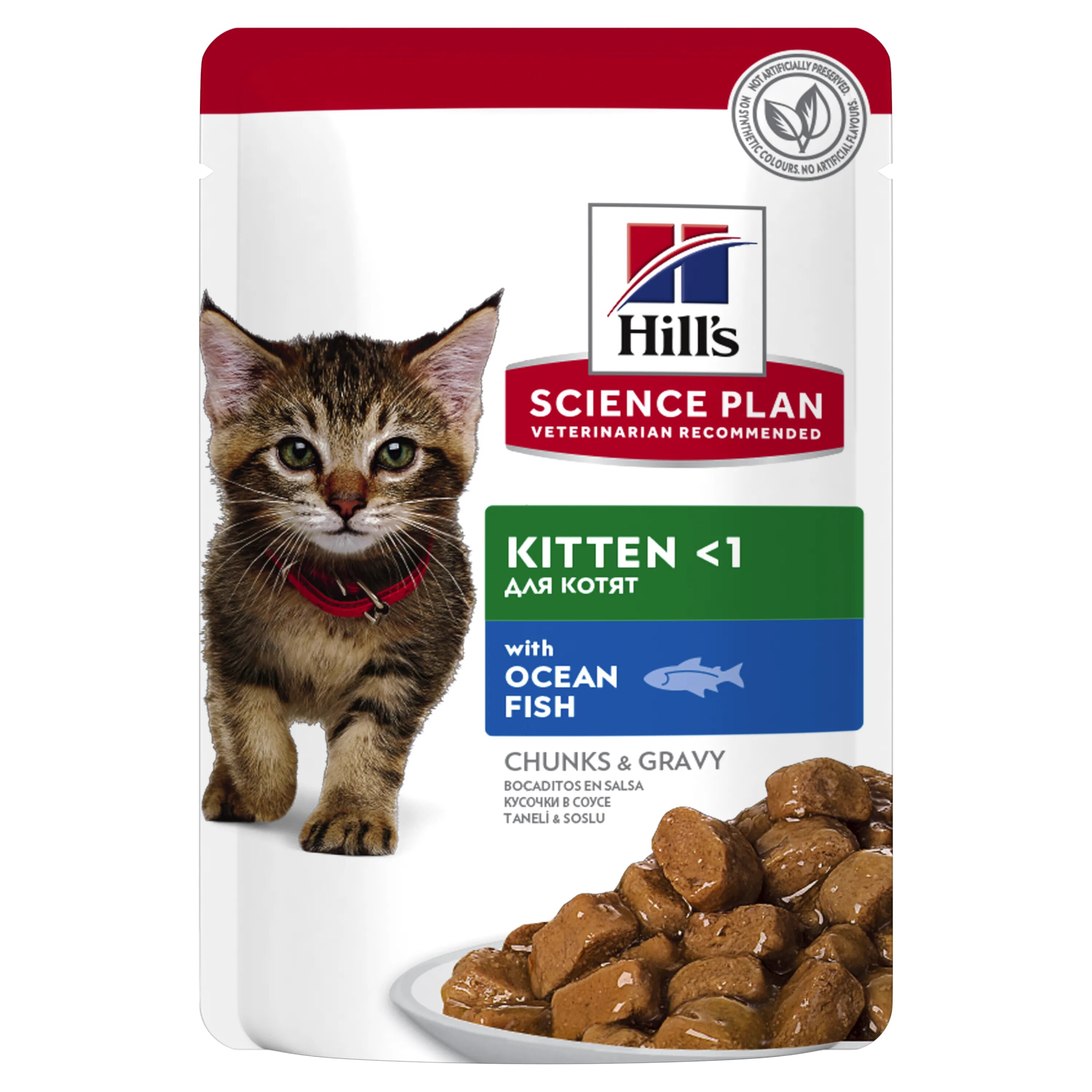 Hills Hrana umeda pisici Hill's Science Plan Feline Kitten Ocean Fish 85 g