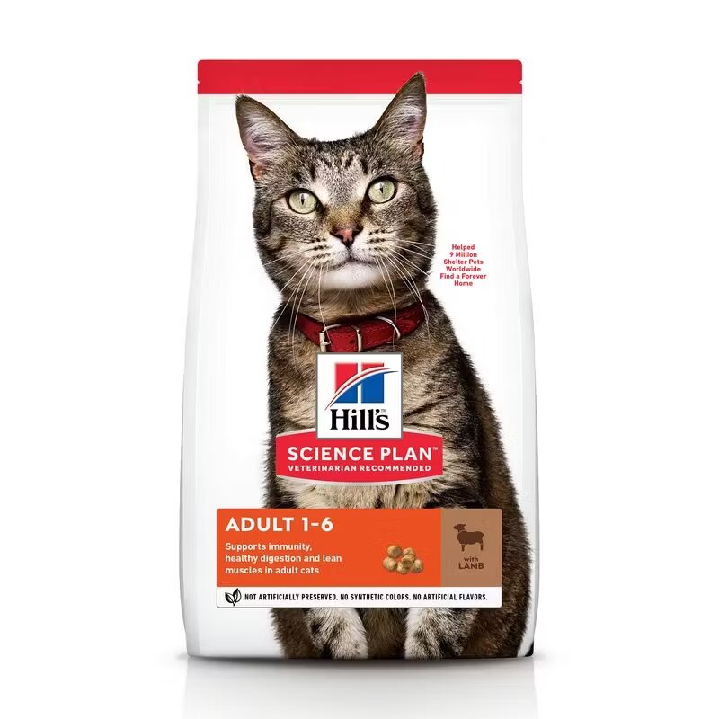 Hills Hrana uscata pisici Hill's Science Plan Feline Adult Lamb and Rice 300 g
