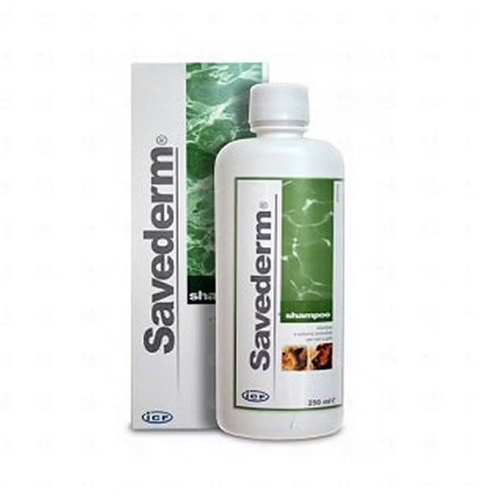 ICF Vet Savederm Sampon 250 ml
