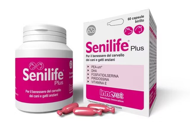 Innovet Senilife Plus 60 capsule