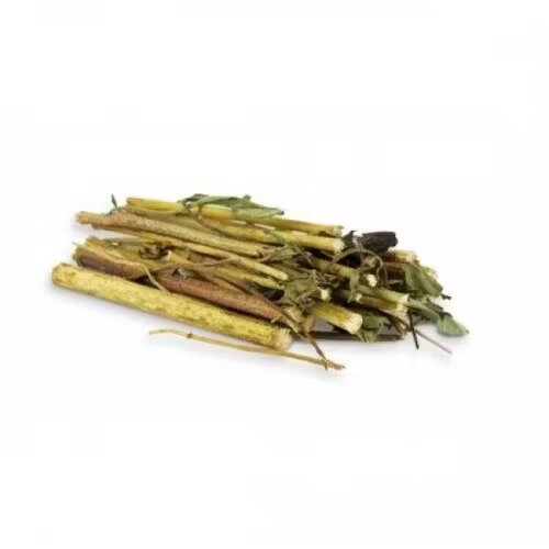 Jr Farm Tije topinambur pentru rozatoare 30 g