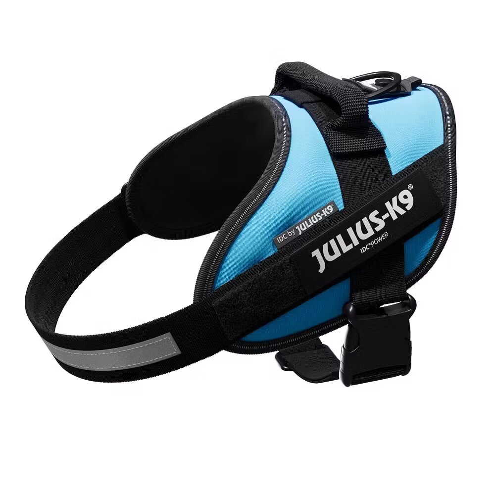 Julius K9 Ham K9 IDC POWER M Aquamarine-16IDC-AM-0