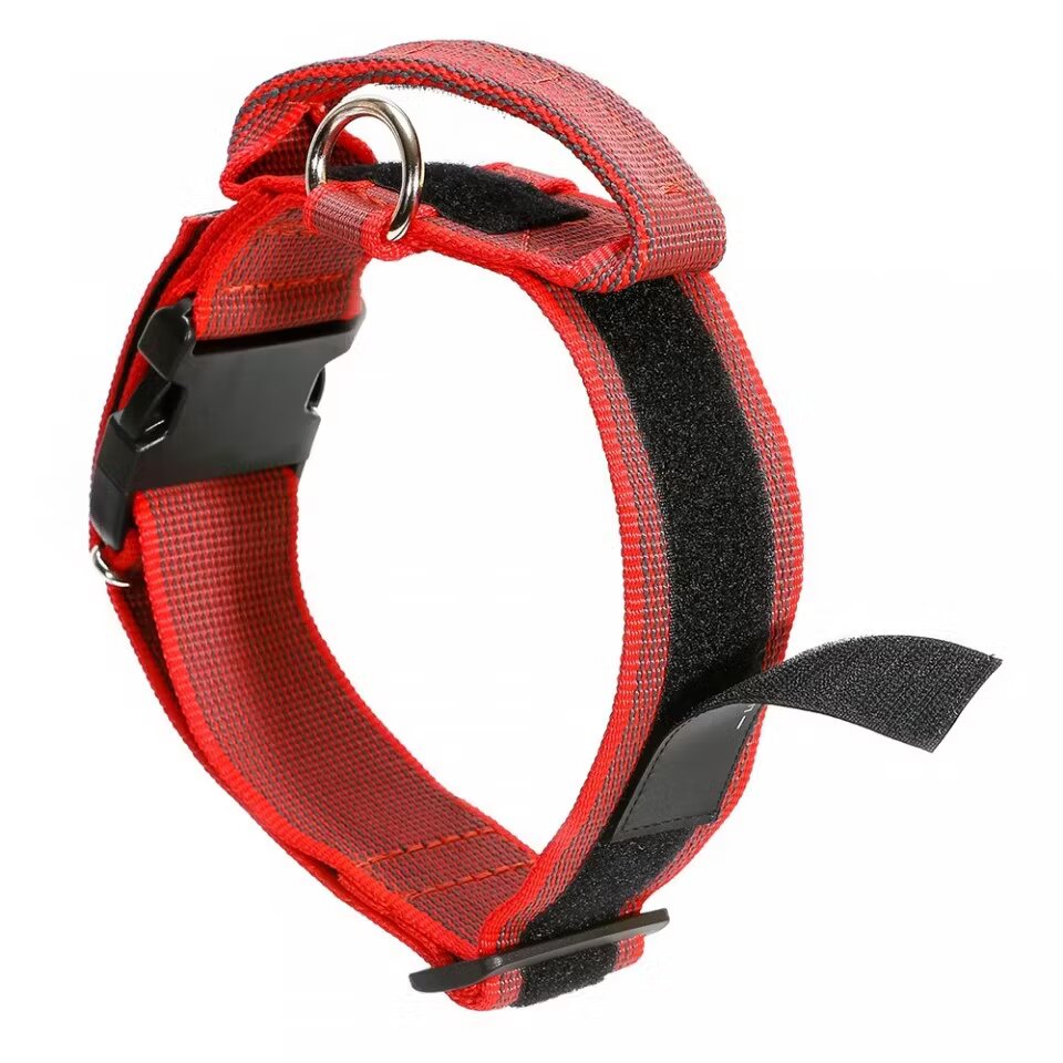 Julius K9 Zgarda K9 nylon cu maner 40 mm rosie