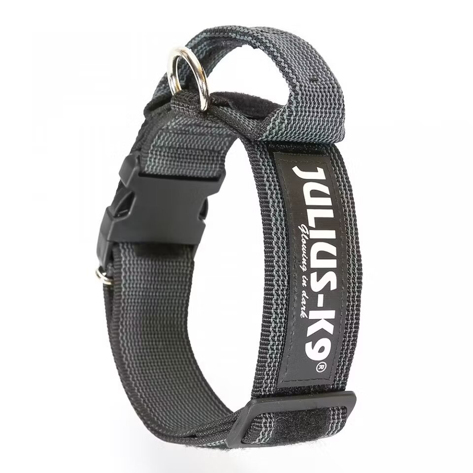 Julius K9 Zgarda K9 nylon cu maner 50 mm gri