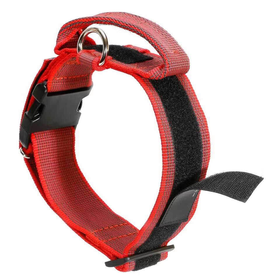 Julius K9 Zgarda K9 nylon cu maner 50 mm rosu
