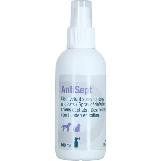 Levet Antisept 100 ml