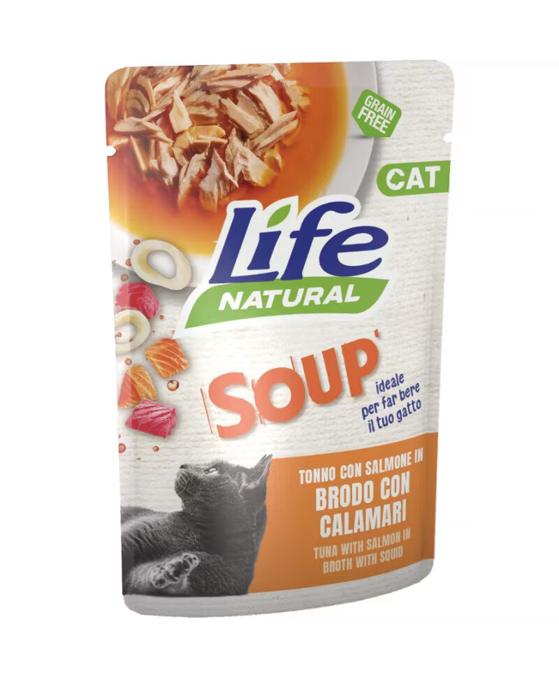 Life Natural Hrana Umeda Pisici Adult Supa Somon 60 g