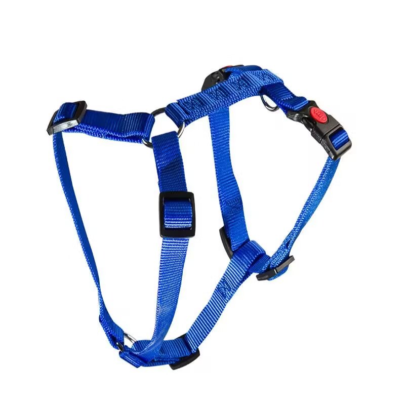 N MOL Ham Caini 3x Ajustabil Nylon Blue Click 20 mm x 40-70 cm
