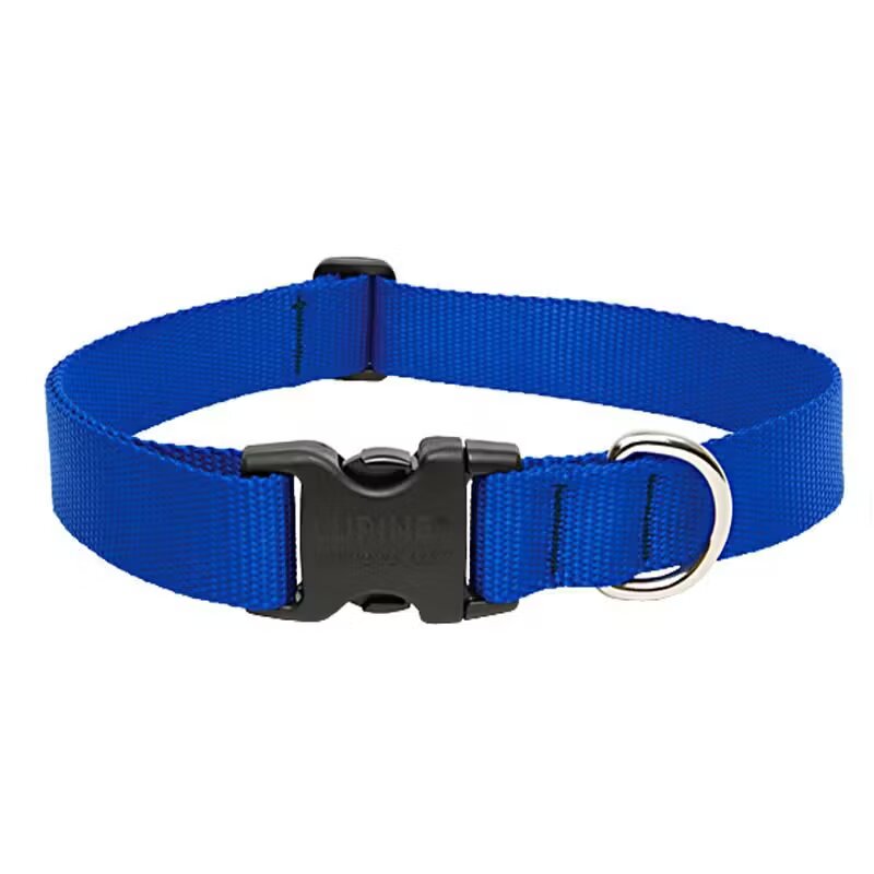 N MOL Zgarda Nylon Caini Blue Click 10 mm x 20-35 cm