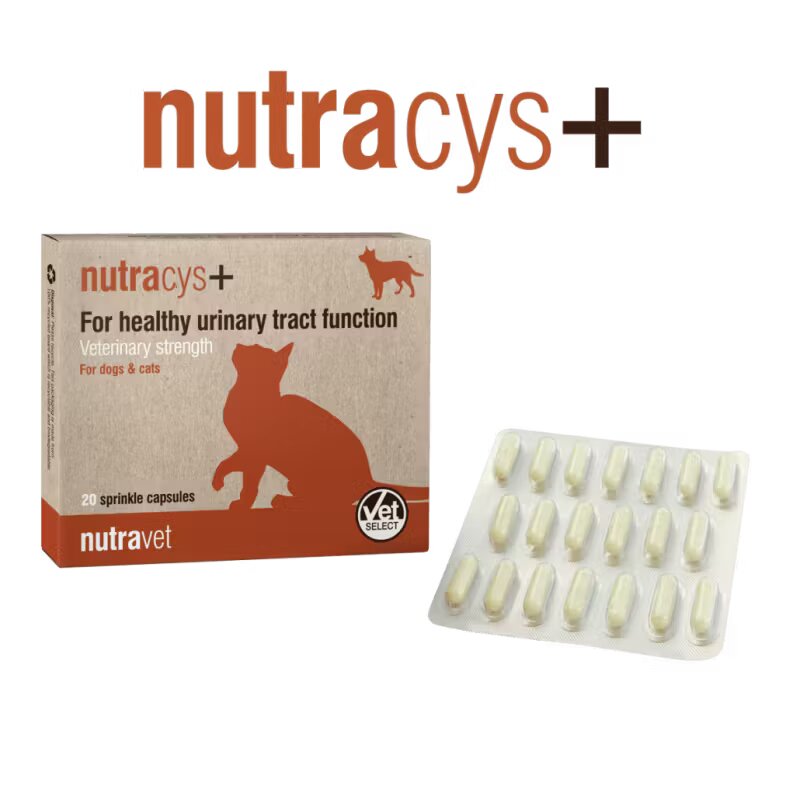 Nutravet Nutracys+ Caini & Pisici 20 capsule