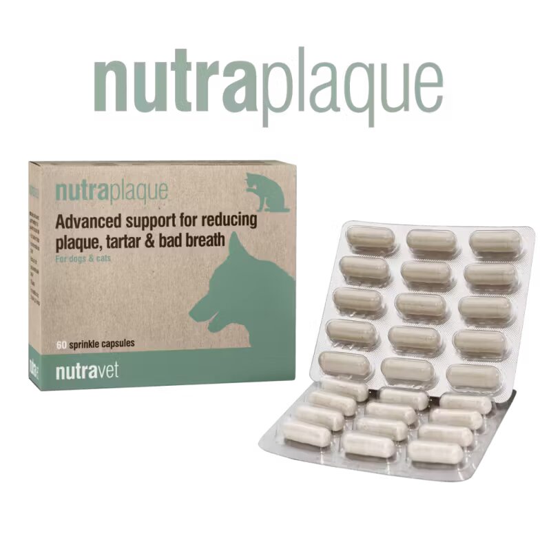 Nutravet NutraPlaque Caini & Pisici 60 capsule moi