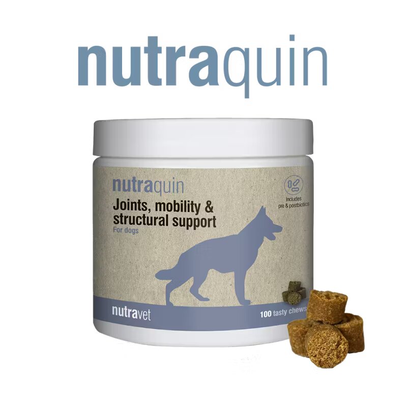 Nutravet Nutraquin Caini 50 chews