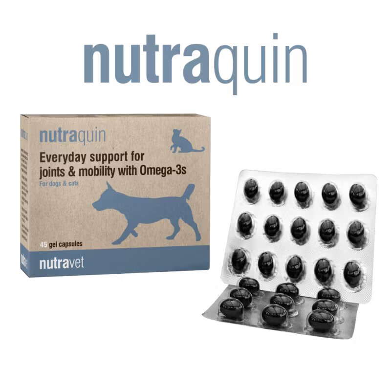 Nutravet Nutraquin Caini & Pisici 45 capsule moi