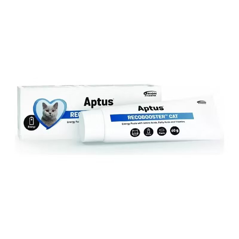 Orion Aptus Recobooster Cat Vet Pasta 60 g