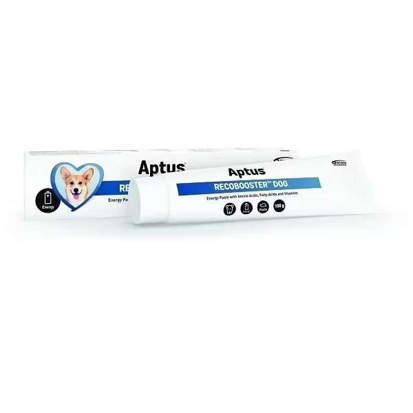 Orion Aptus Recobooster Dog Pasta 100 g