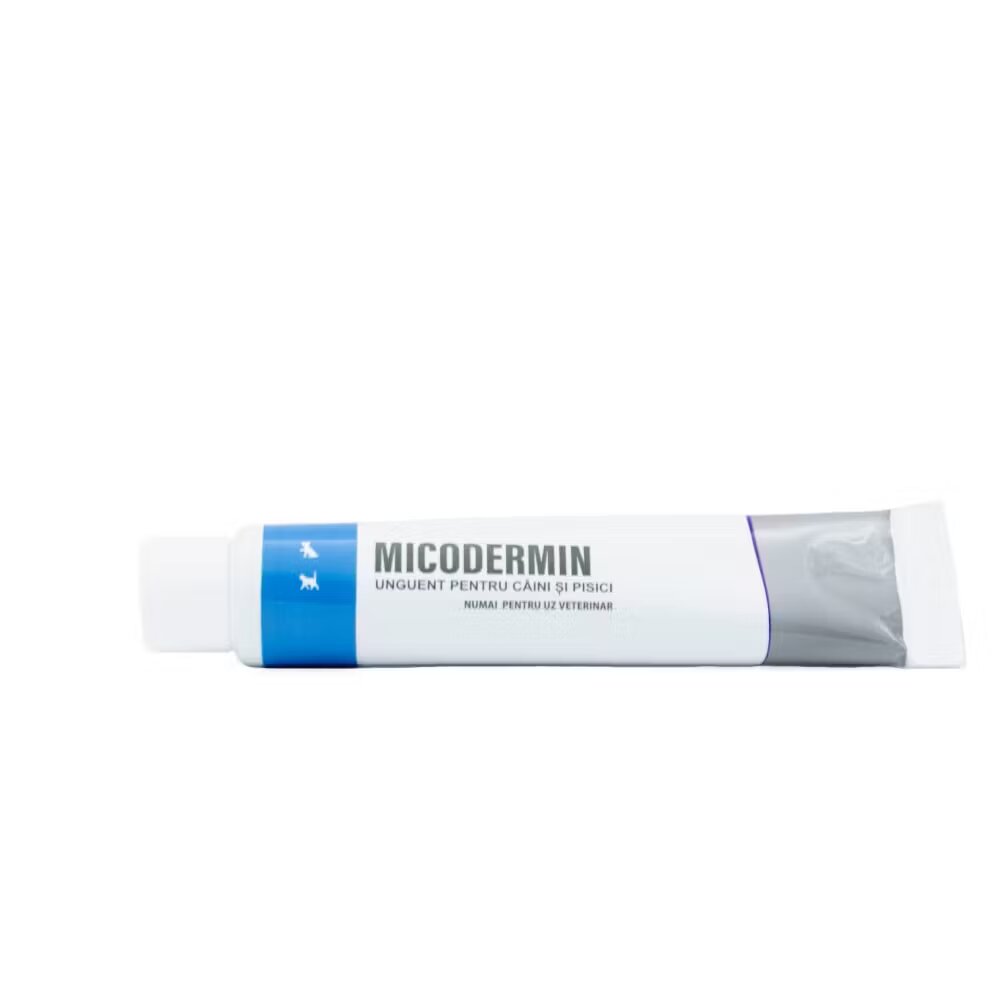 Pasteur Micodermin 20 g