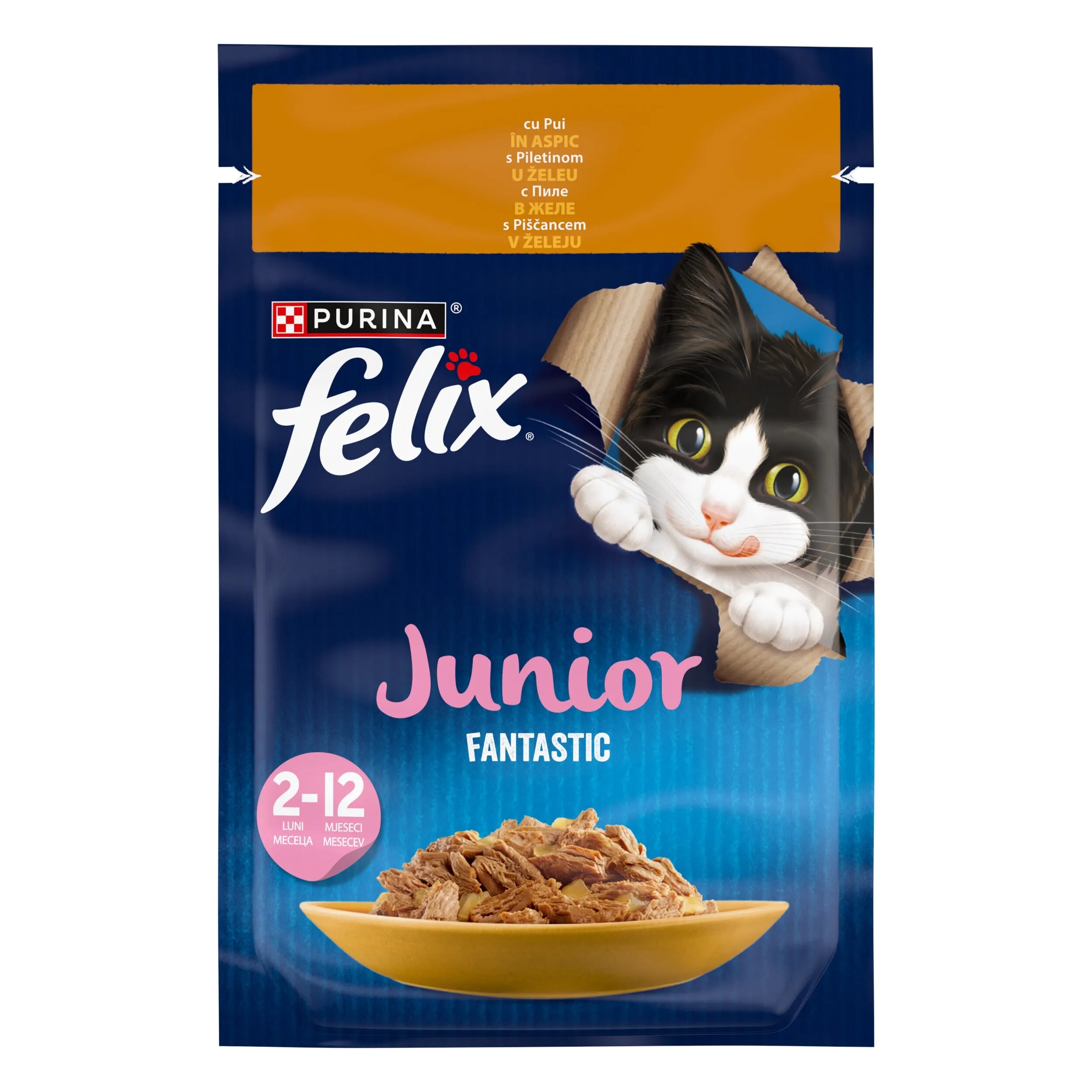 Purina Felix Fantastic Junior Pui 85 g