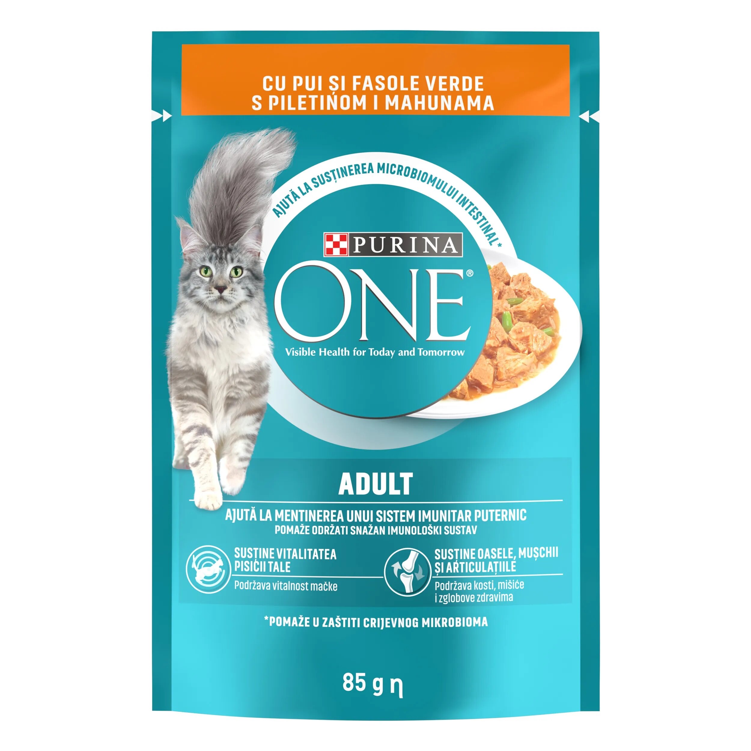 Purina ONE ADULT mini fileuri cu Pui si Fasole Verde in sos 85 g