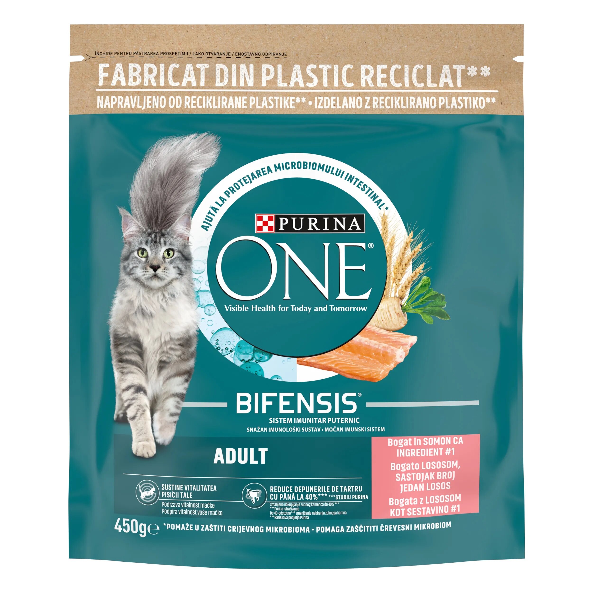 Purina ONE ADULT Somon si Cereale Integrale hrana uscata pentru pisici 450 g