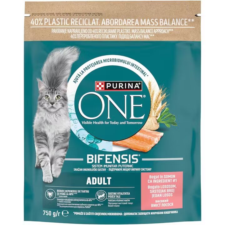 Purina ONE ADULT Somon si Cereale Integrale hrana uscata pentru pisici 750 g