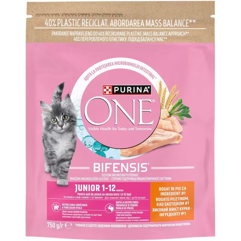 Purina ONE Junior Pui si Cereale Integrale hrana uscata pisici junior 750 g
