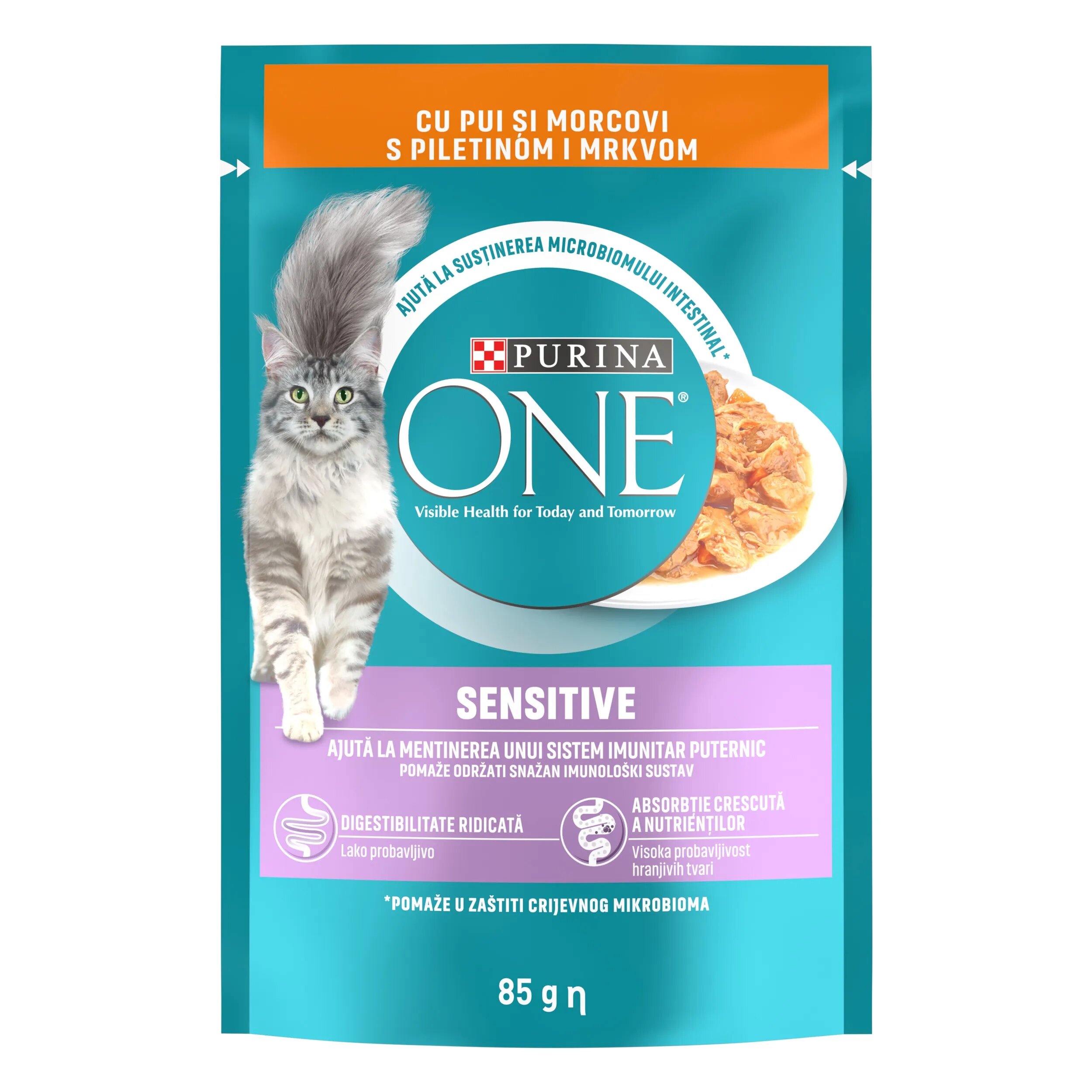 Purina ONE SENSITIVE mini fileuri cu Pui si Morcov in sos 85 g