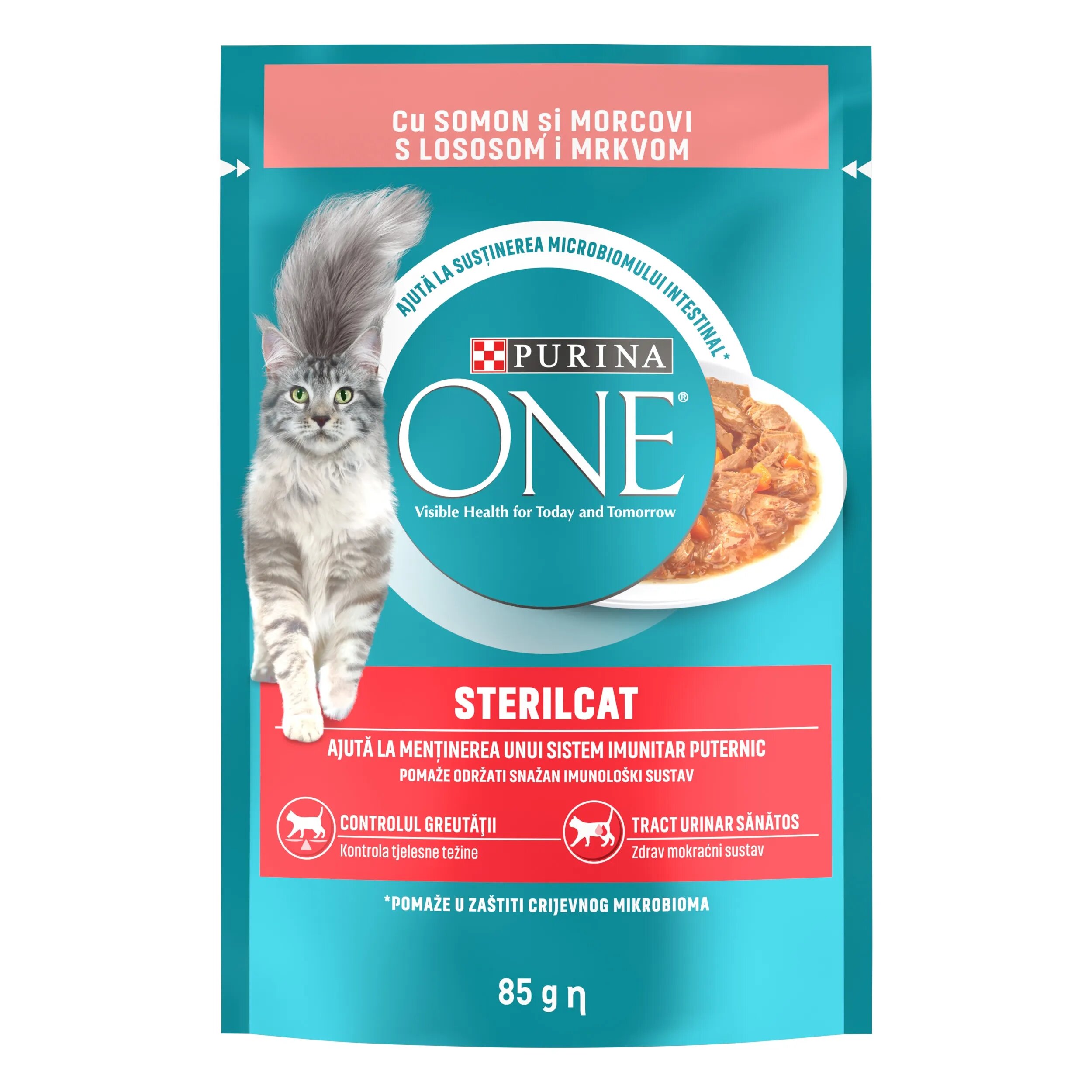 Purina ONE STERILCAT mini fileuri cu Somon si Morcov in sos 85 g