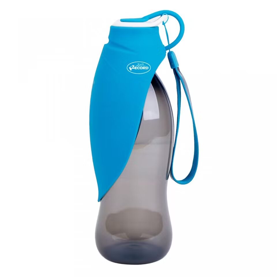 Record Adapatoare portabila Wave 500 ml