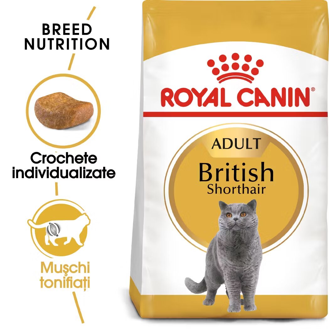 Royal Canin British Shorthair Adult hrana uscata pisica 400 g