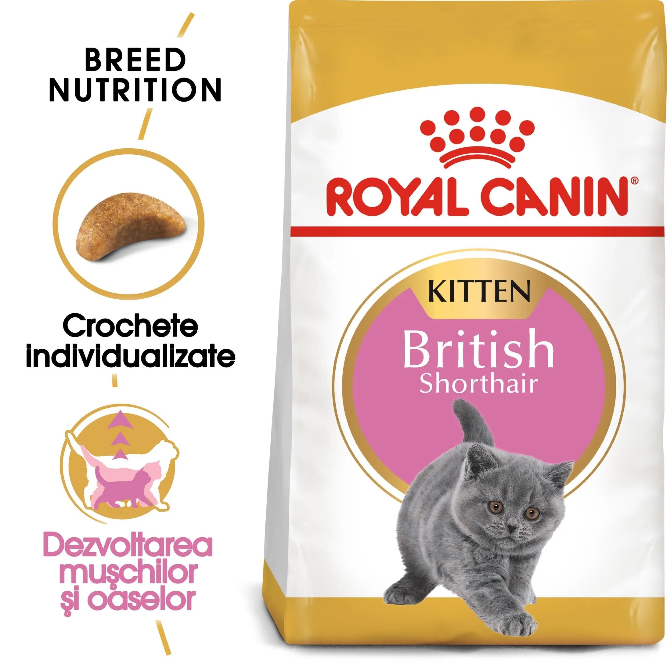 Royal Canin British Shorthair Kitten hrana uscata pisica junior 2 kg