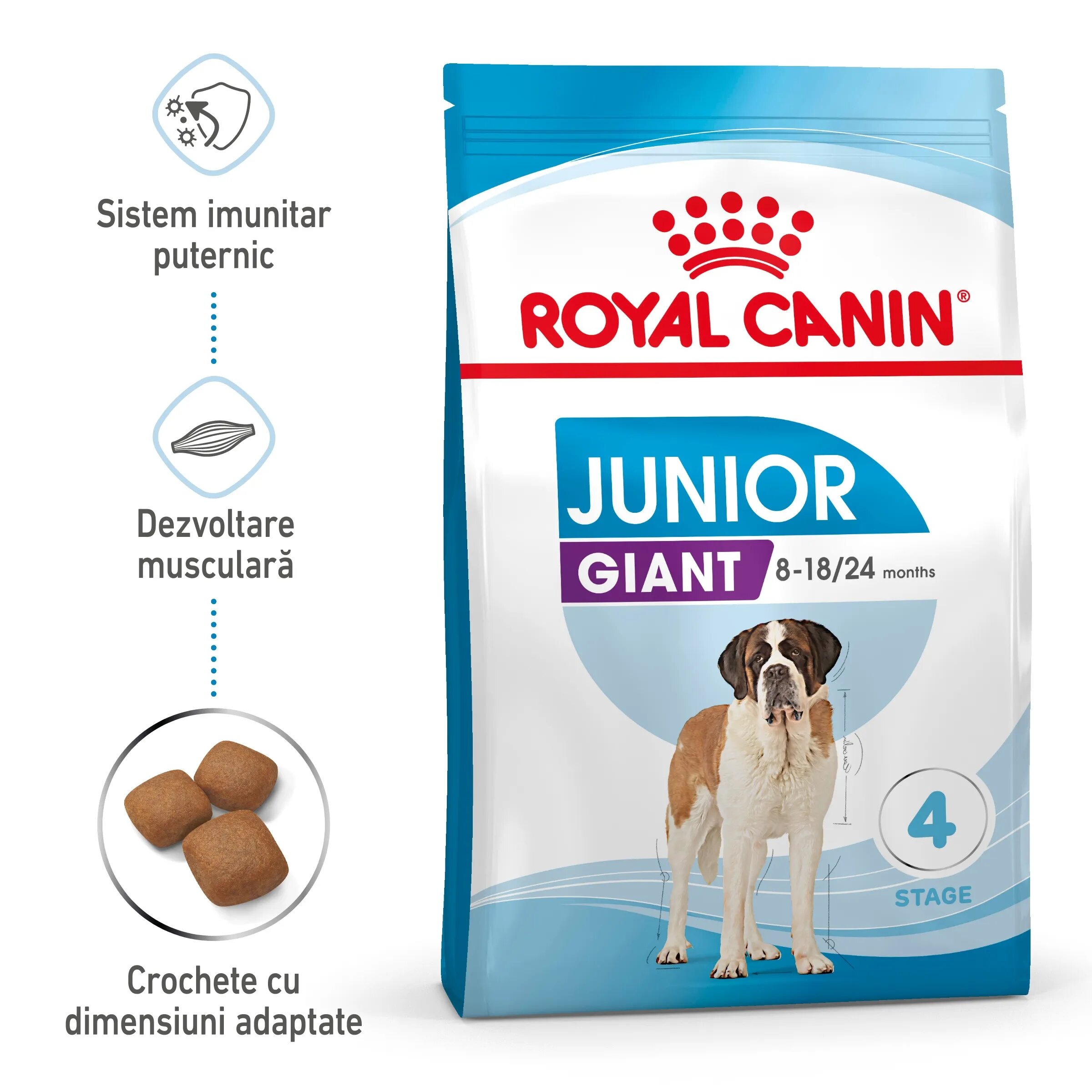 Royal Canin Giant Junior hrana uscata caine junior etapa 2 de crestere 3.5 kg