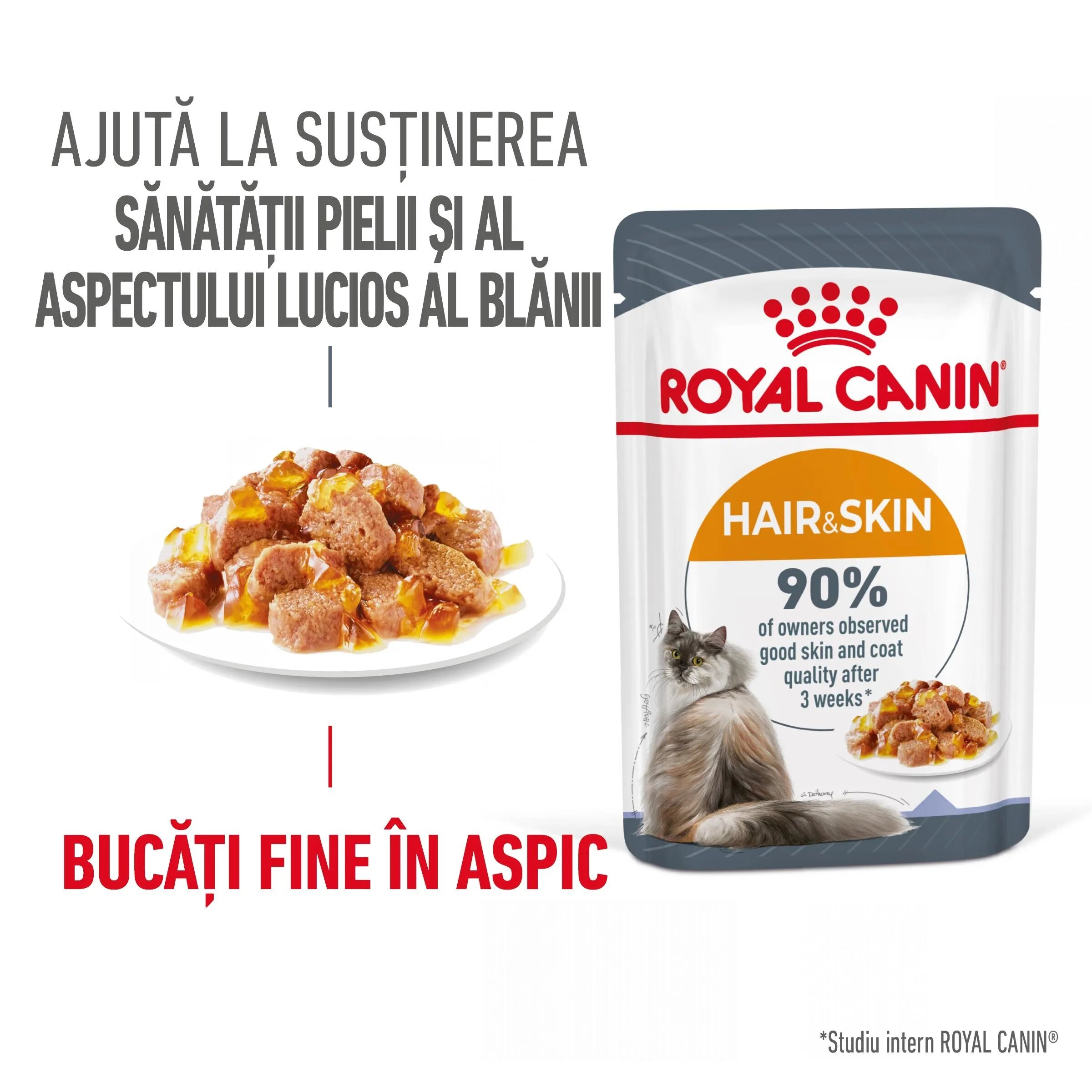 Royal Canin Hair&Skin Care Adult hrana umeda pisica piele si blana (in aspic) 85 g