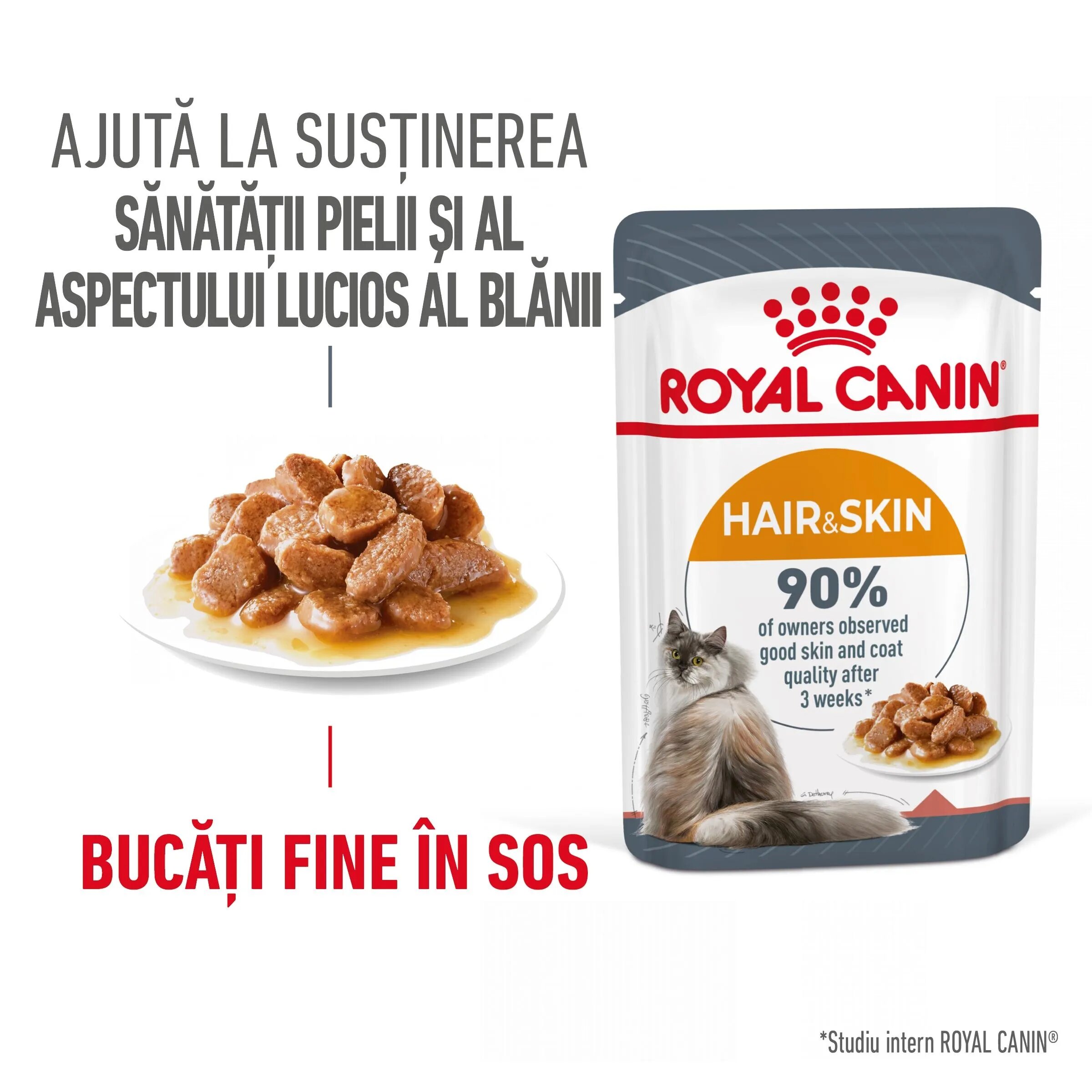 Royal Canin Hair&Skin Care Adult hrana umeda pisica piele si blana (in sos) 12 x 85 g