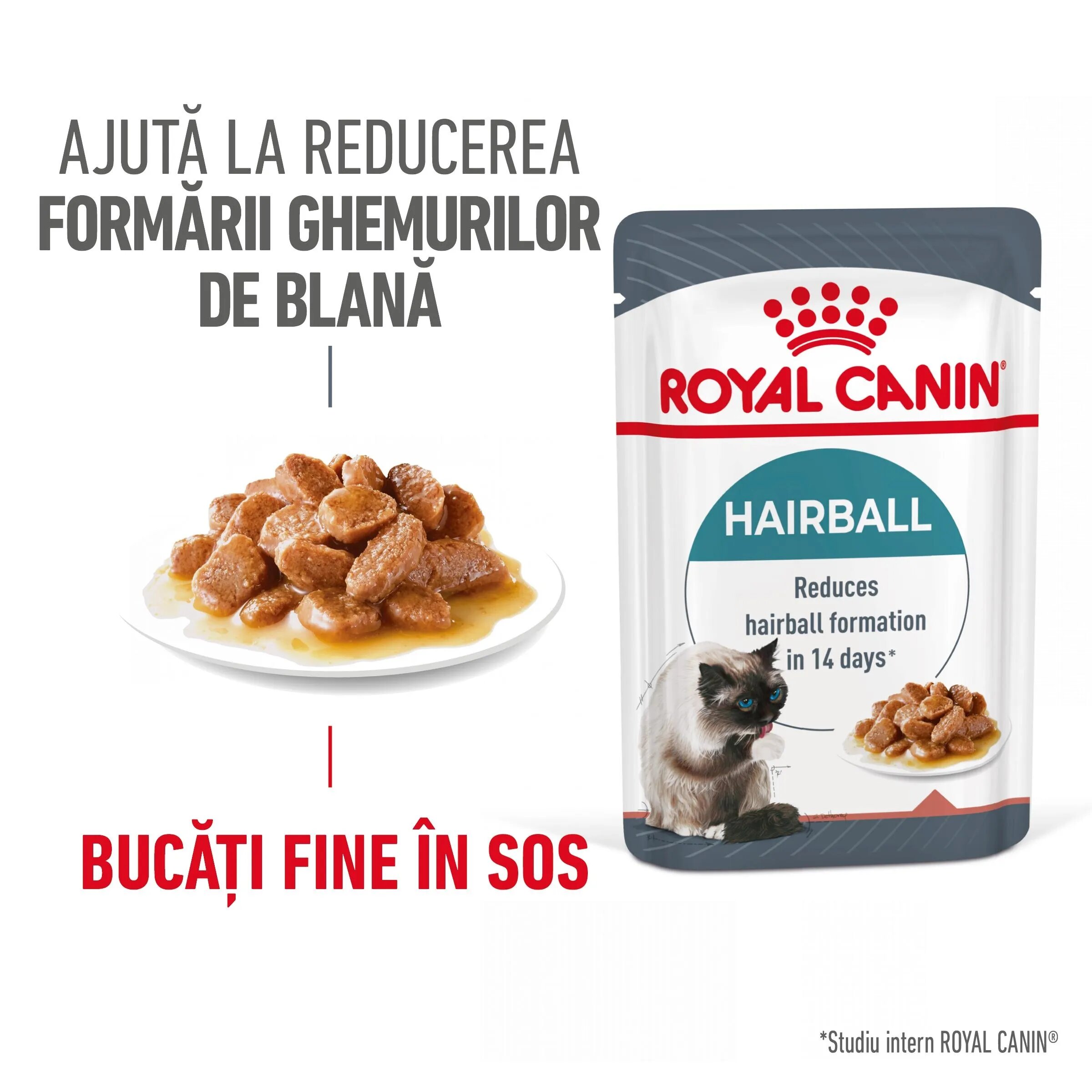 Royal Canin Hairball Care Adult hrana umeda pisica limitarea ghemurilor de blana (in sos) 85 g
