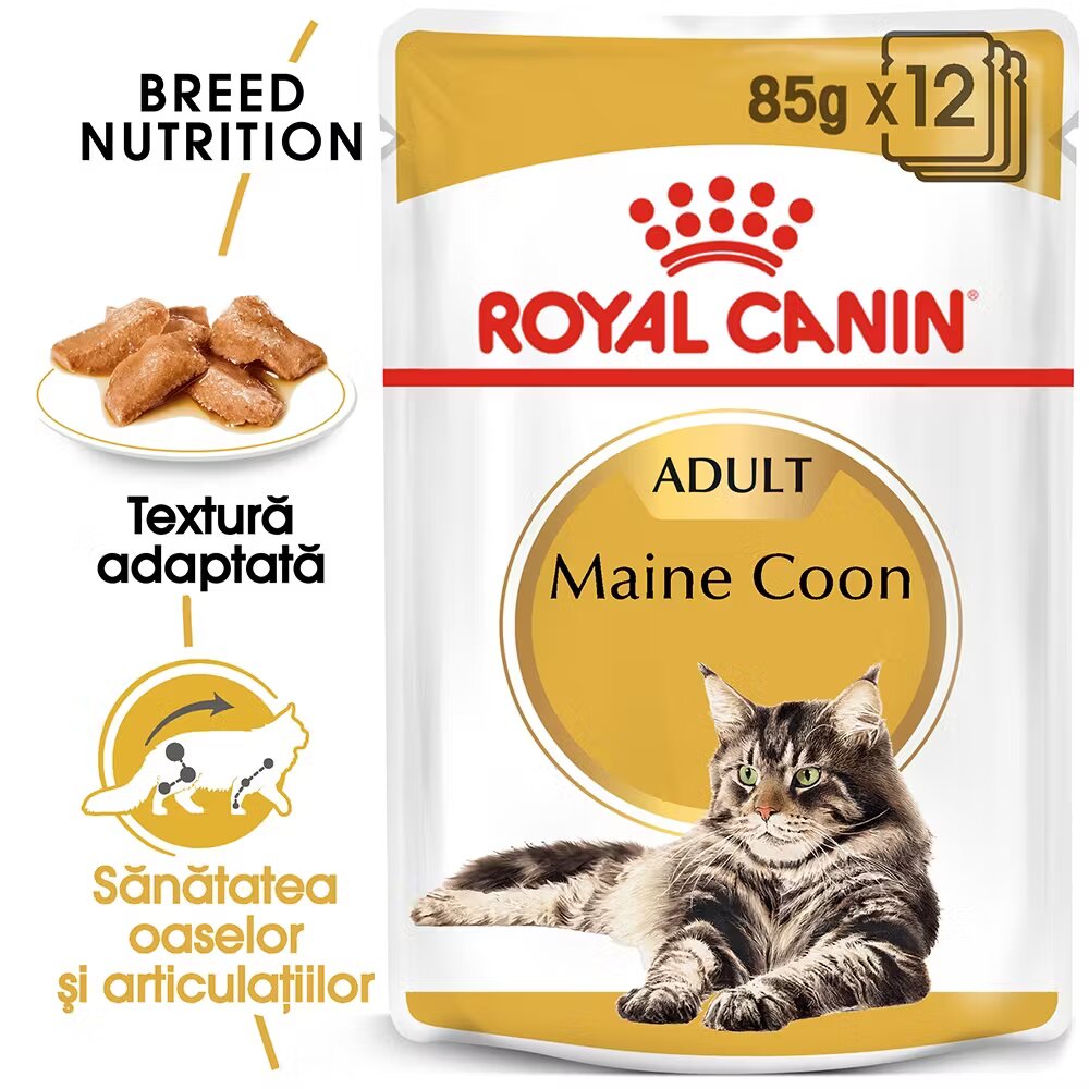 Royal Canin Maine Coon Adult hrana umeda pisica (in sos) 12 x 85 g