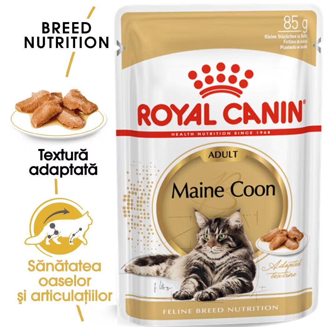 Royal Canin Maine Coon Adult hrana umeda pisica (in sos) 85 g