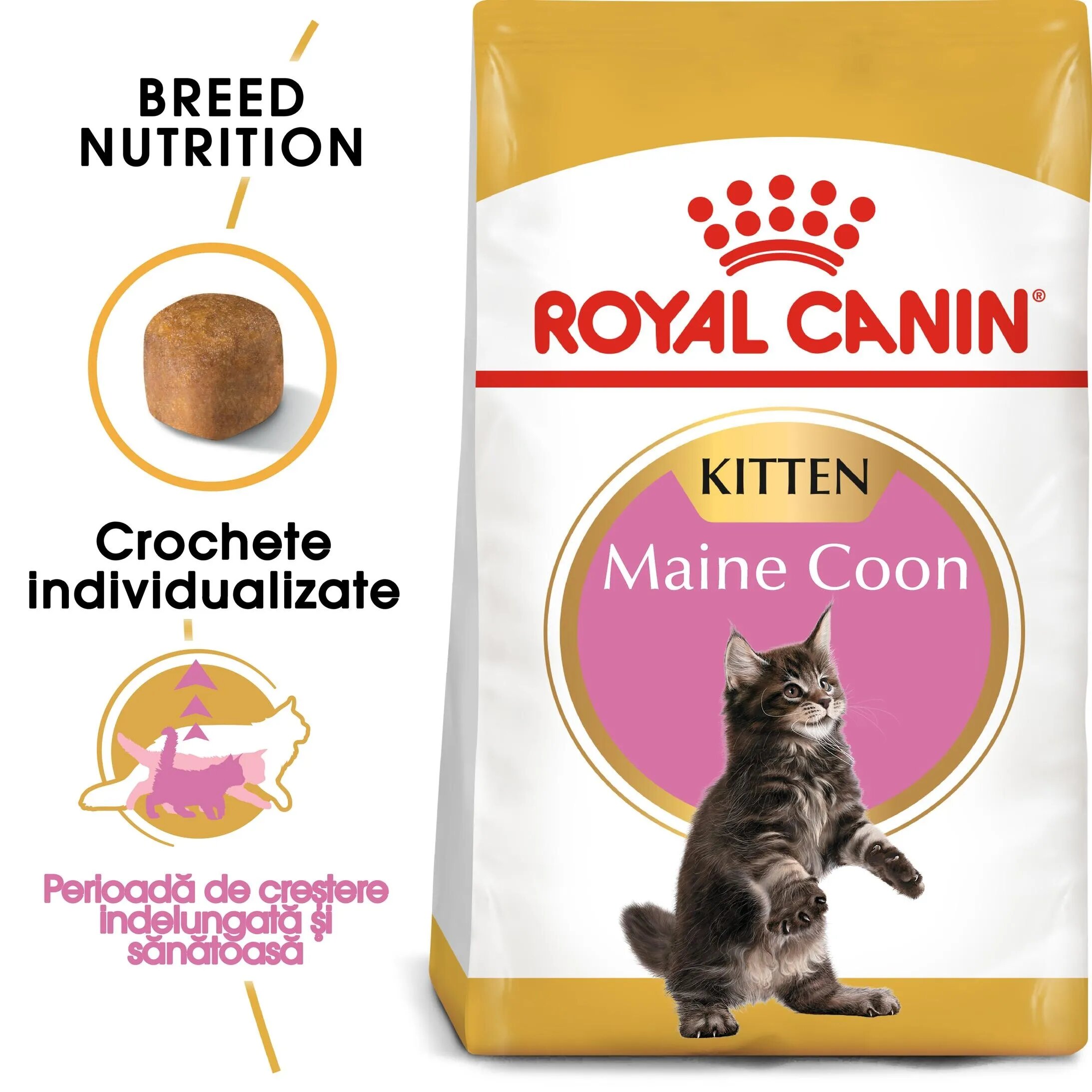 Royal Canin Maine Coon Kitten hrana uscata pisica junior 10 kg