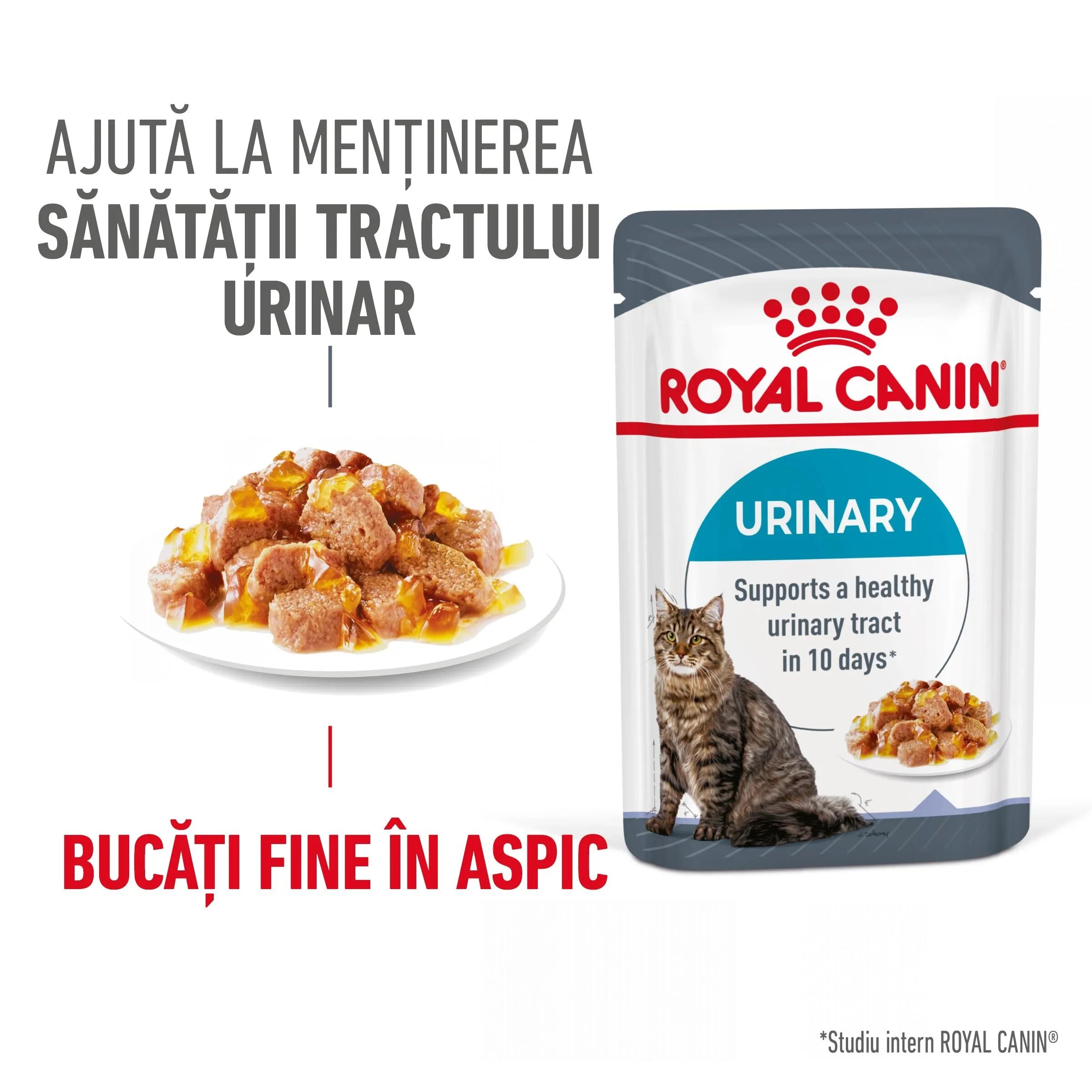 Royal Canin Urinary Care Adult hrana umeda pisica sanatatea tractului urinar (in aspic) 12 x 85 g