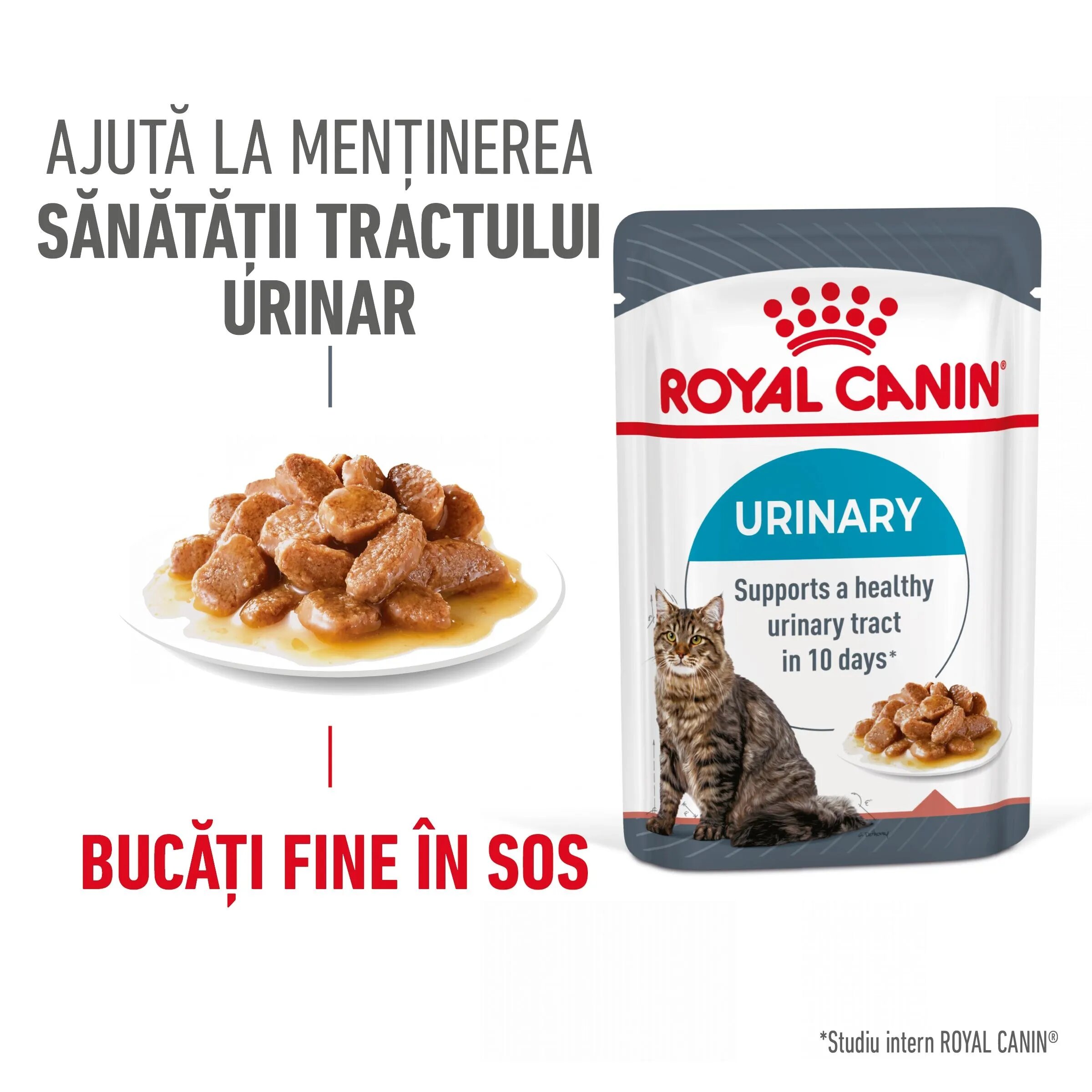 Royal Canin Urinary Care Adult hrana umeda pisica sanatatea tractului urinar (in sos) 12 x 85 g
