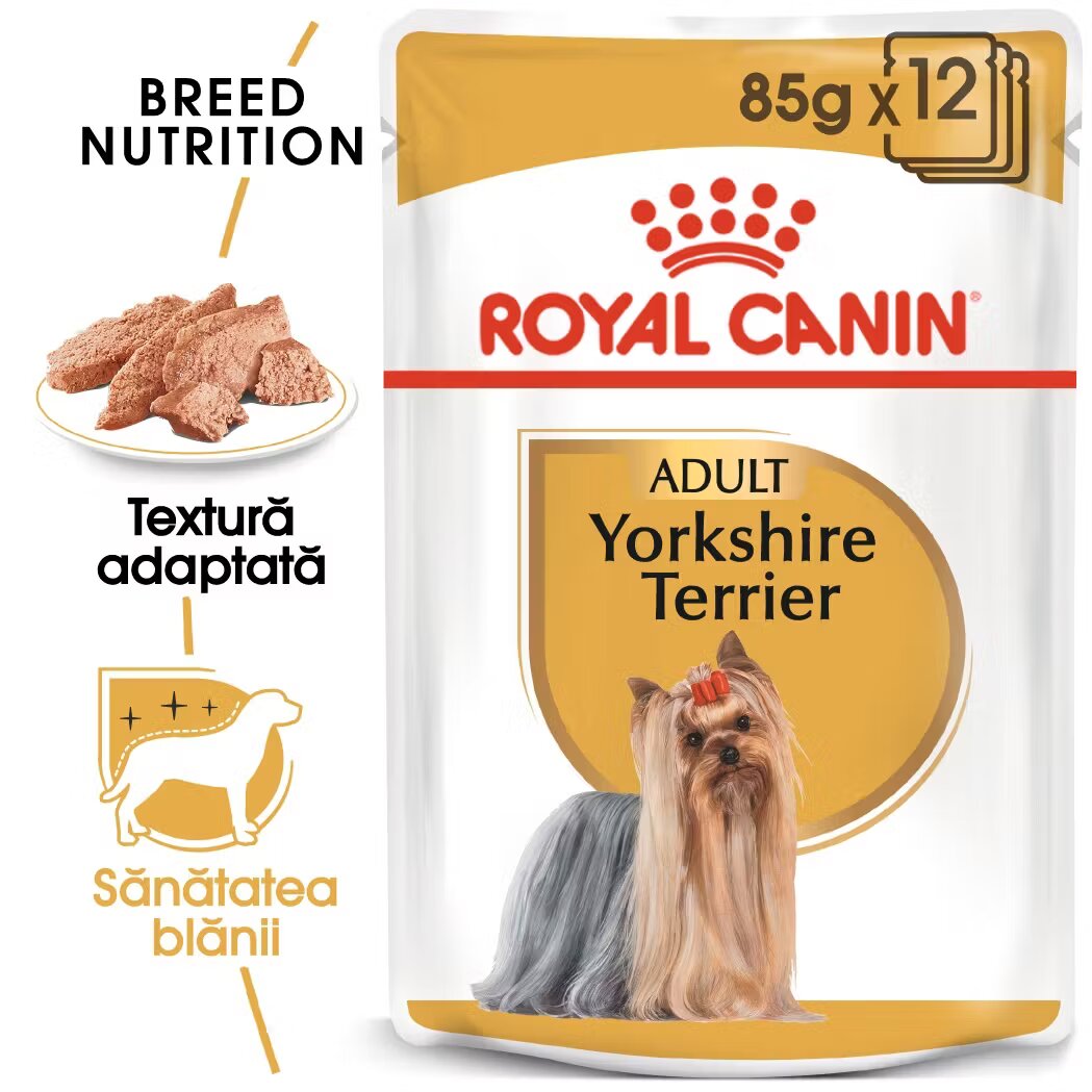 Royal Canin Yorkshire Terrier Adult hrana umeda caine (pate) 12 x 85 g