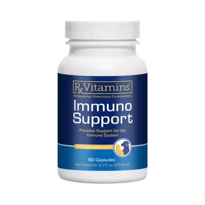 Rx Vitamins RX Immuno Support 60 capsule