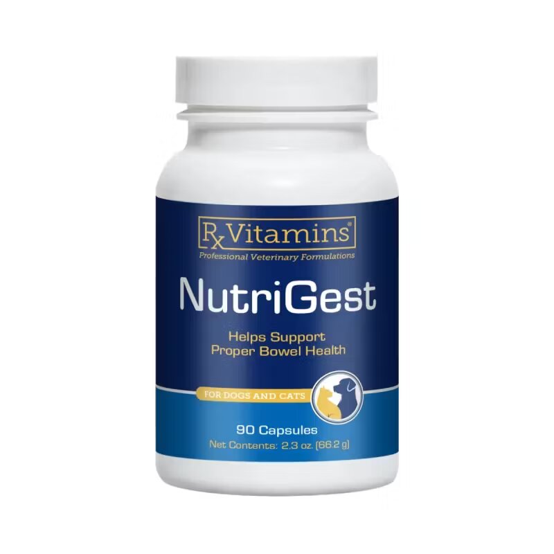 Rx Vitamins RX NutriGest 90 capsule