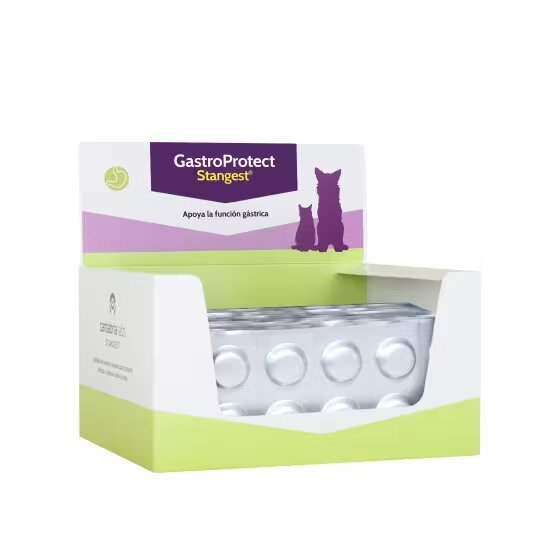 Stangest Gastroprotect blister 10 tablete
