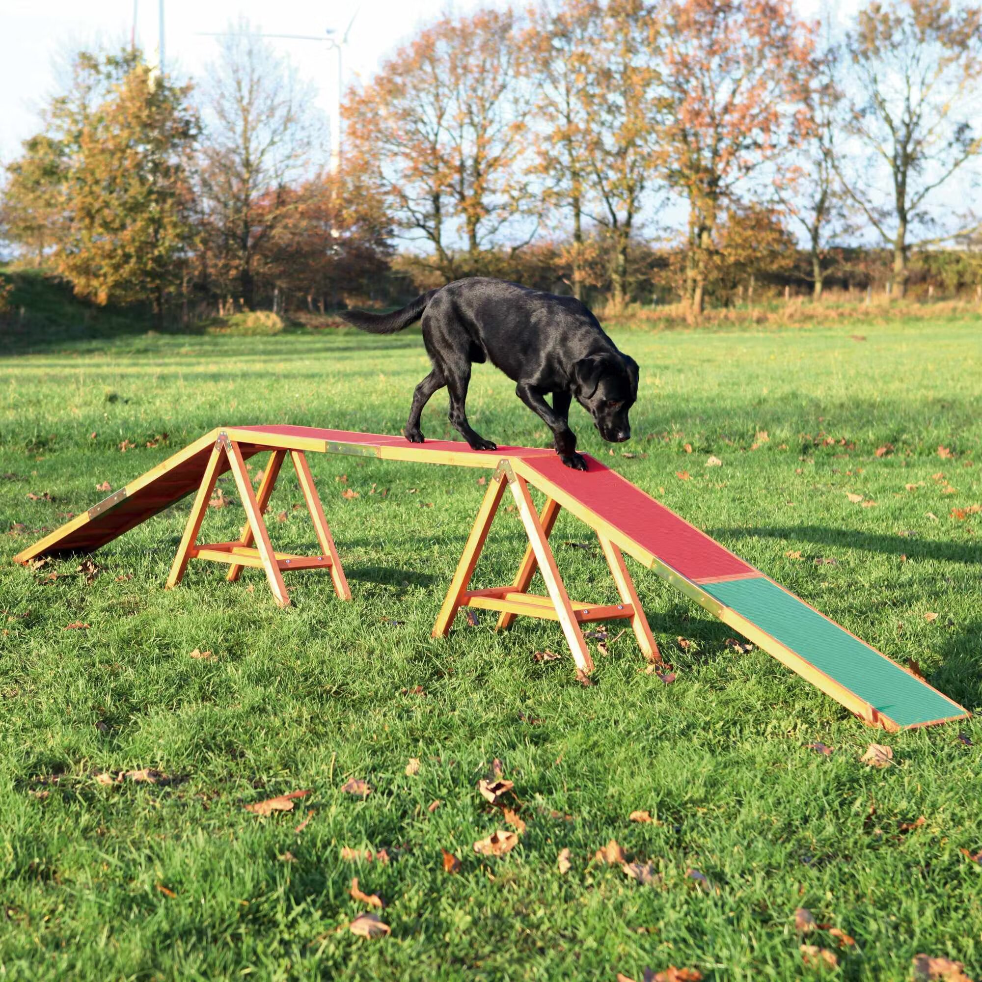 Trixie Banca Antiderapant Agility 456x64x30 cm 32090